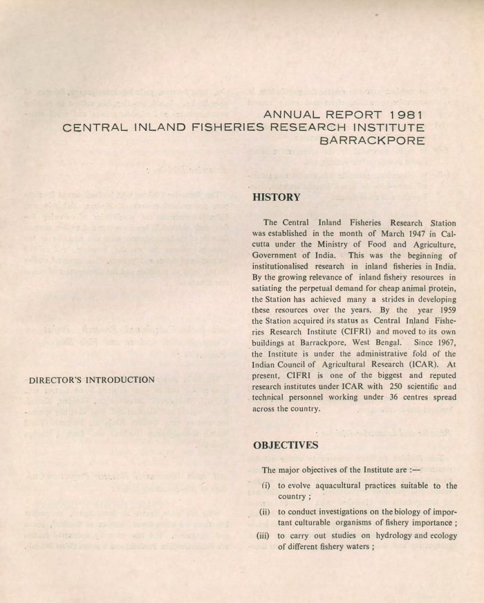 Annual Report 1981